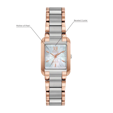 Citizen Eco-Drive - Biance - Two Tone with Rose Gold - Image 2